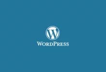 wordpress eklenti kalıntılarını temizleme