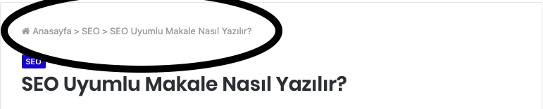 yoast seo breadcrumbs ayarları