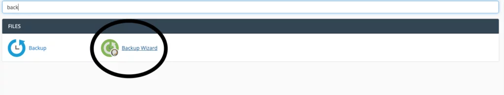 Wordpress yedek alma - cPanel yedekleme sihirbazı