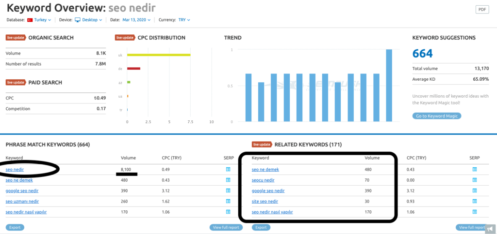 seo-nedir-kısa-kuyruk