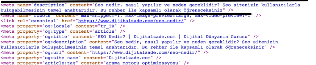 meta description etiketi nedir