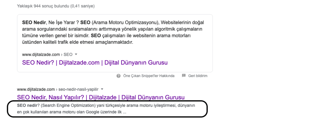 meta description kullanımı örneği