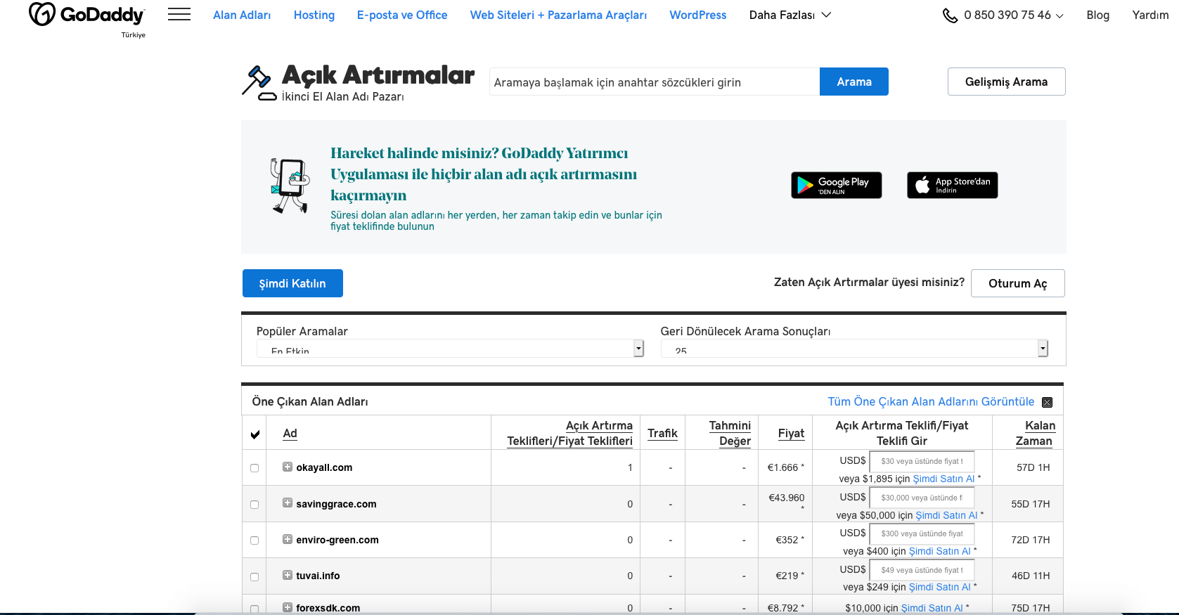 e-ticaret seo, Godaddy açık arttırma paneli