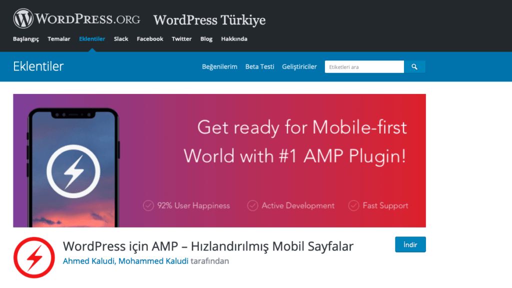 amp for wordpress - en iyi wordpress eklentileri