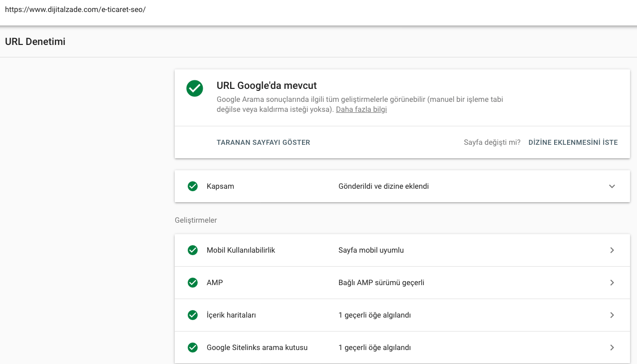 Google search console url denetimi