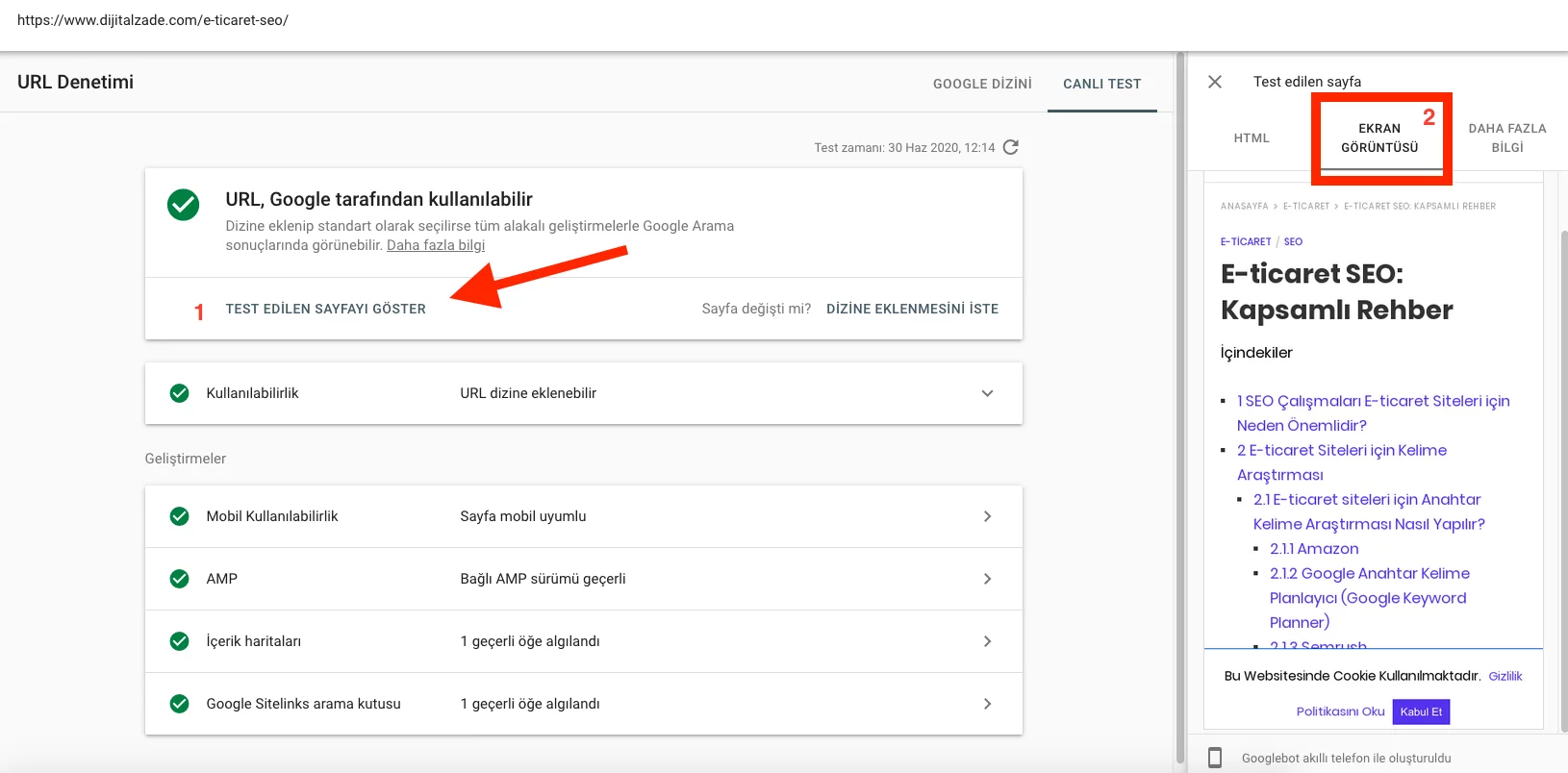 Google search console Canlı url testi