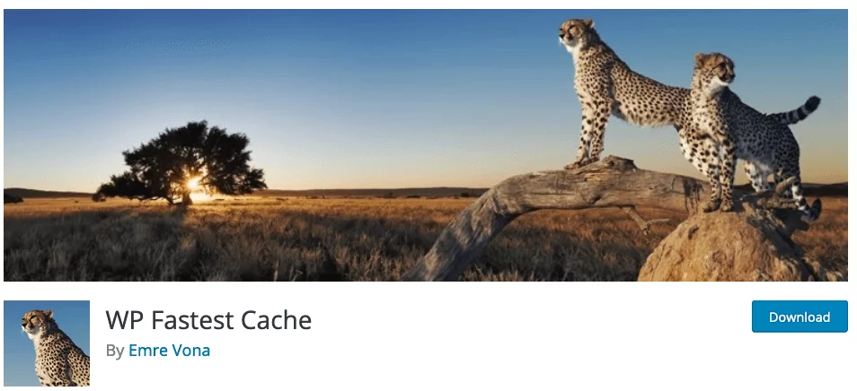 En İyi WordPress Cache Eklentisi, wp fastest cache