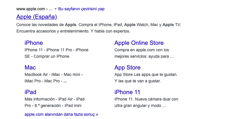 apple ispanyadan yapılan arama sorgusu örneği