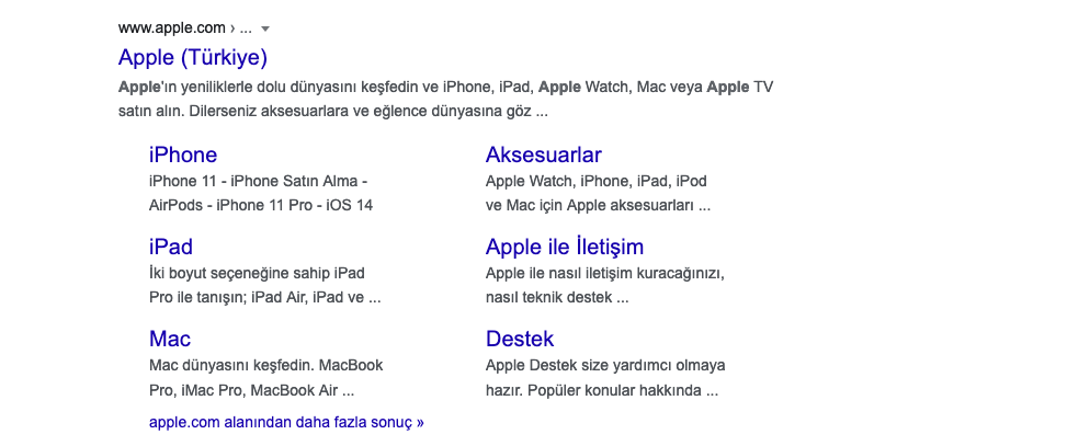 Apple Türkiyeden yapılan arama sorgusu örneği