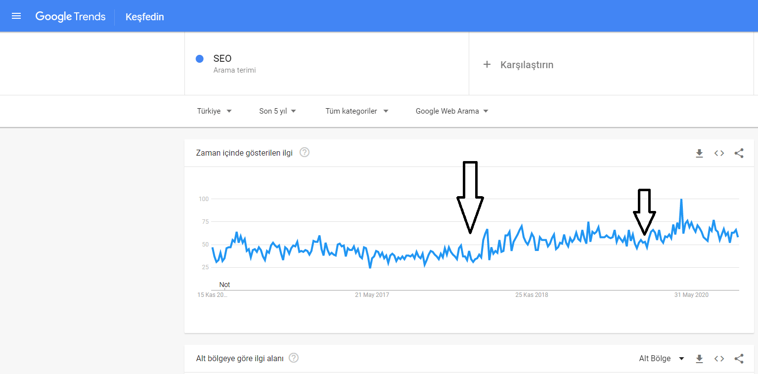 SEO Google Trends verileri