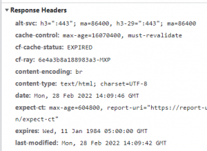 HTTP response header örneği