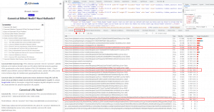 dijitalzade.com chrome kapsam raporu örneği