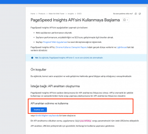 Google pagespeed api key nasıl alınır görseli